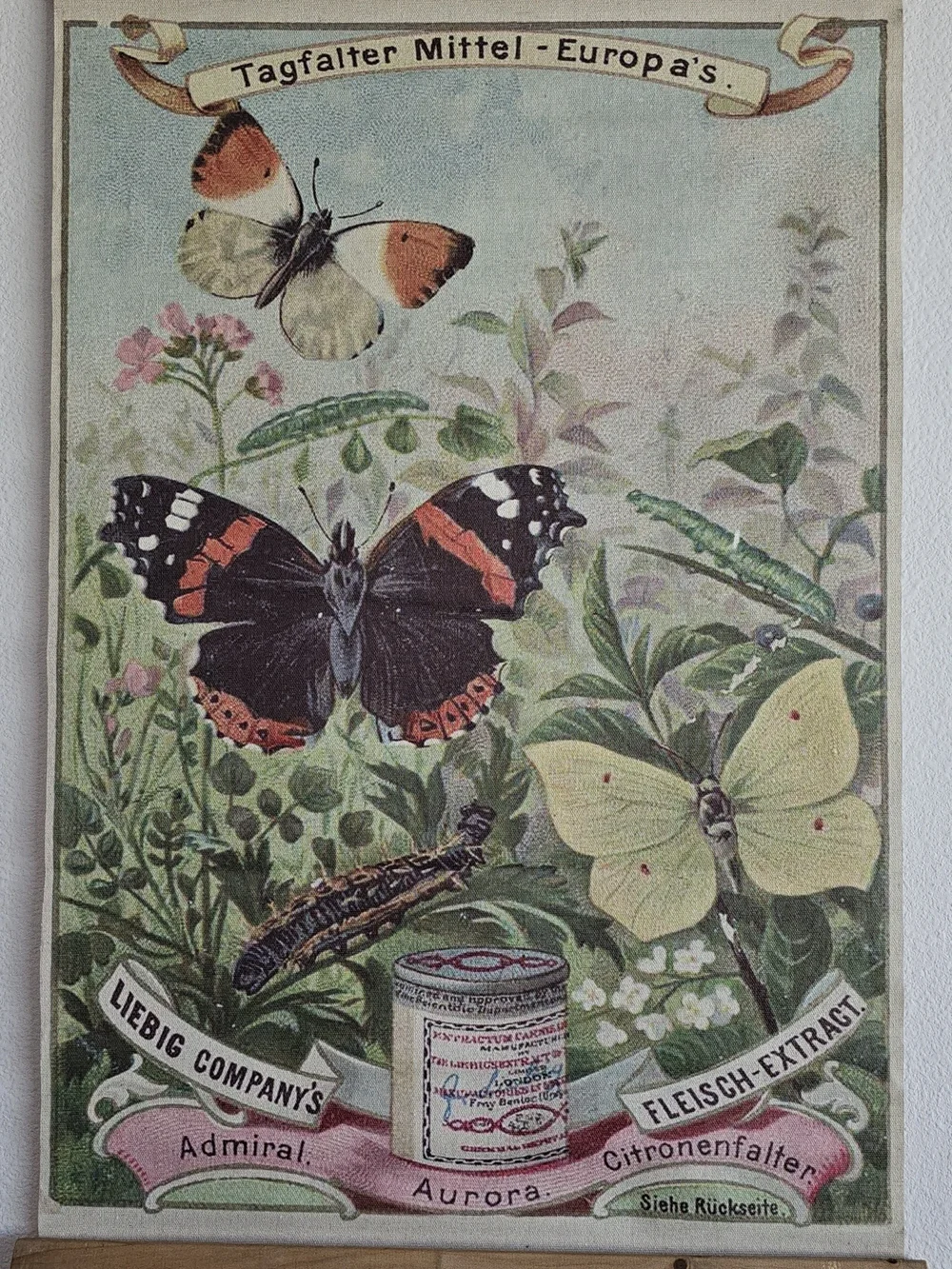 NWOT Vintage Butterfly Wall Art Print in Green and Cream